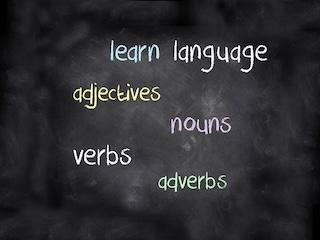 learning a new language our dictionaries explain all key points