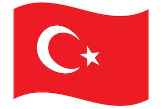 play Turkish sentence grammar questions game 