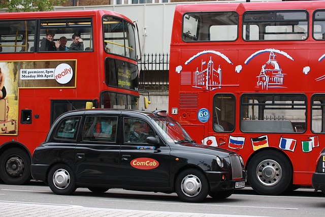 Bus