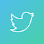 twitter x community profile